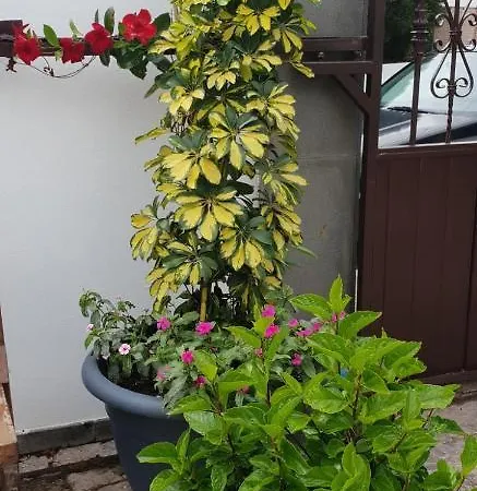 One Bedroom With Enclosed Garden And Wifi At Lägenhet Nazaret